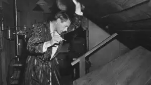 Задник до фильму"Вторгнення викрадачів тіл" #715460