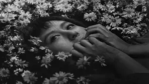 Задник до фильму"Сім самураїв" #605749