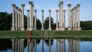 Задник до фильму"" #191948