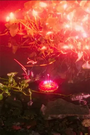 Постер до фильму"" #197619