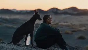 Задник до фильму"" #600689