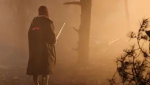 Задник до фильму"Руда Соня" #528552