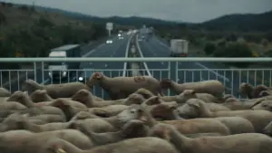 Задник до фильму"" #684533