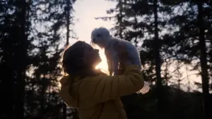 Задник до фильму"" #550726