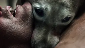 Задник до фильму"Абетка смерті" #406206