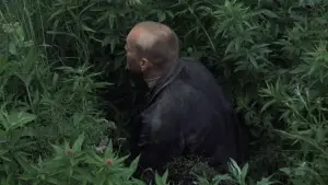 Задник до фильму"Сталкер" #734101