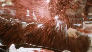 Задник до фильму"Вбити Білла: Повна кривава справа" #524377