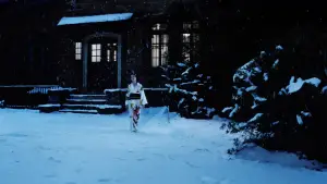 Задник до фильму"Леді Кривавий Сніг" #692371