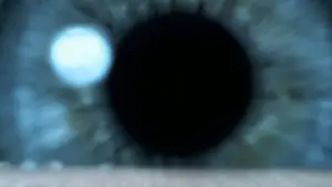 Задник до фильму"Гаррі Поттер і в’язень Азкабану" #747743