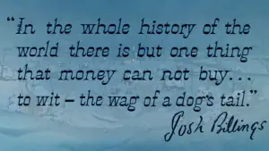 Задник до фильму"Леді та Блудько" #629687