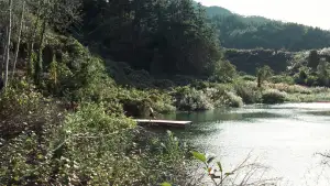 Задник до фильму"Історія двох сестер" #810992