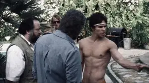 Ночі в стилі буґі