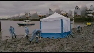 Задник до фильму"Порок на експорт" #221367