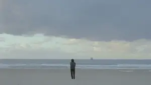 Задник до фильму"Шуґарленд" #697807