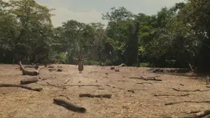 Задник до фильму"Апокаліпсис" #579780