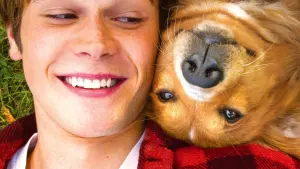 Задник до фильму"Життя і мета собаки" #204534