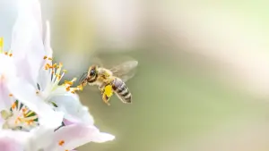 Задник до фильму"" #474238