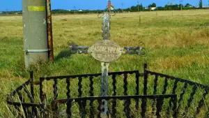 Задник до фильму"Не очікуйте забагато від кінця світу" #756567