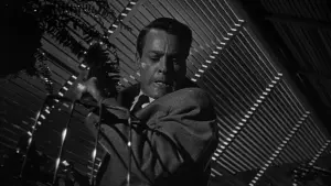 Задник до фильму"Вторгнення викрадачів тіл" #213547