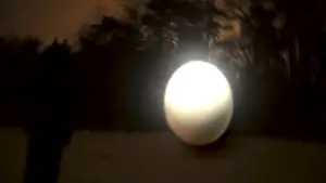 Задник до фильму"" #565112