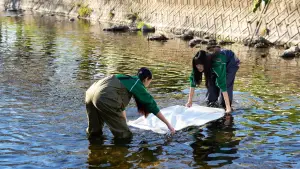 Задник до фильму"" #718996