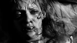 Задник до фильму"Вбити Білла: Повна кривава справа" #524381