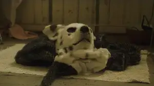 Задник до фильму"" #747291