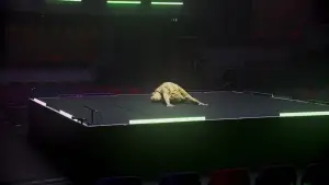 Задник до фильму"" #681891