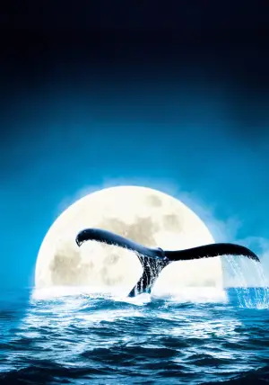 Постер до фильму"" #724860