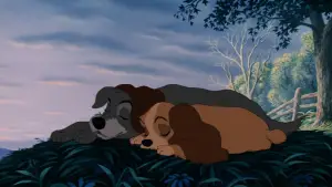 Задник до фильму"Леді та Блудько" #629710