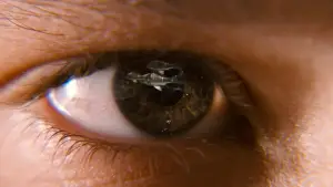 Задник до фильму"Міст у Терабітію" #611563