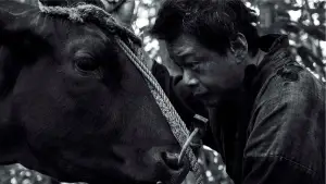 Задник до фильму"" #543242