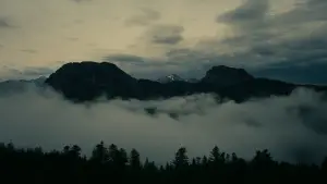 Задник до фильму"Оппенгеймер" #556054