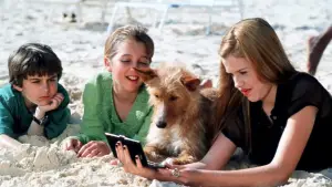 Задник до фильму"" #708404