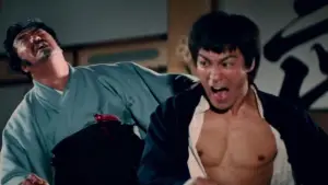 Задник до фильму"Шалений кулак" #688271