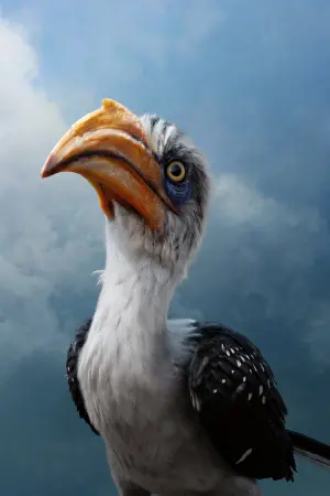 Постер до фильму"Король Лев" #173122