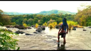 Задник до фильму"Апокаліпсис" #443932