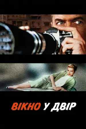 Постер до фильму"Вікно у двір" #800207