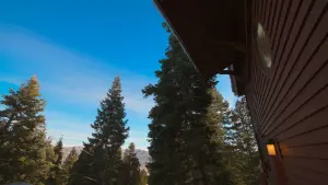 Задник до фильму"" #405830