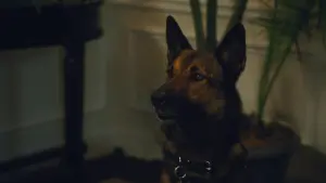 Задник до фильму"Макс 2: Герой Білого дому" #345883