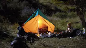 Задник до фильму"Книжковий хробак" #598533