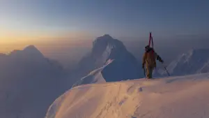 Задник до фильму"" #735044