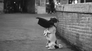 Задник до фильму"Умберто Д." #752722