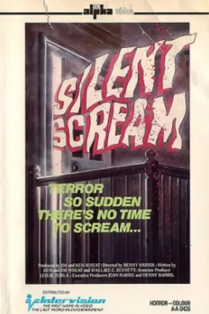 Постер до фільму "Silent Scream"