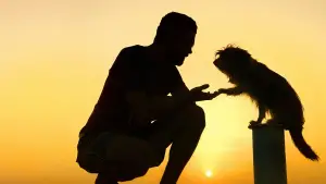 Задник до фильму"" #670829