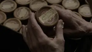 Задник до фильму"Історія звуку" #526058