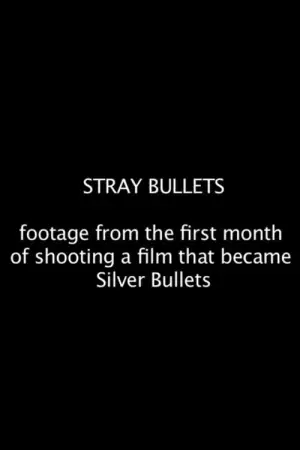 Постер до фільму "Stray Bullets"