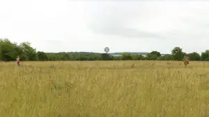 Задник до фильму"Королiвство повного мiсяця" #719523