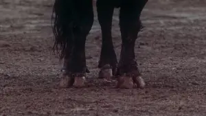 Задник до фильму"Вечори самоти" #675258