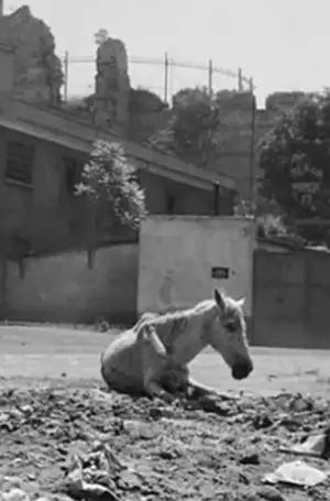 Постер до фильму"" #737092